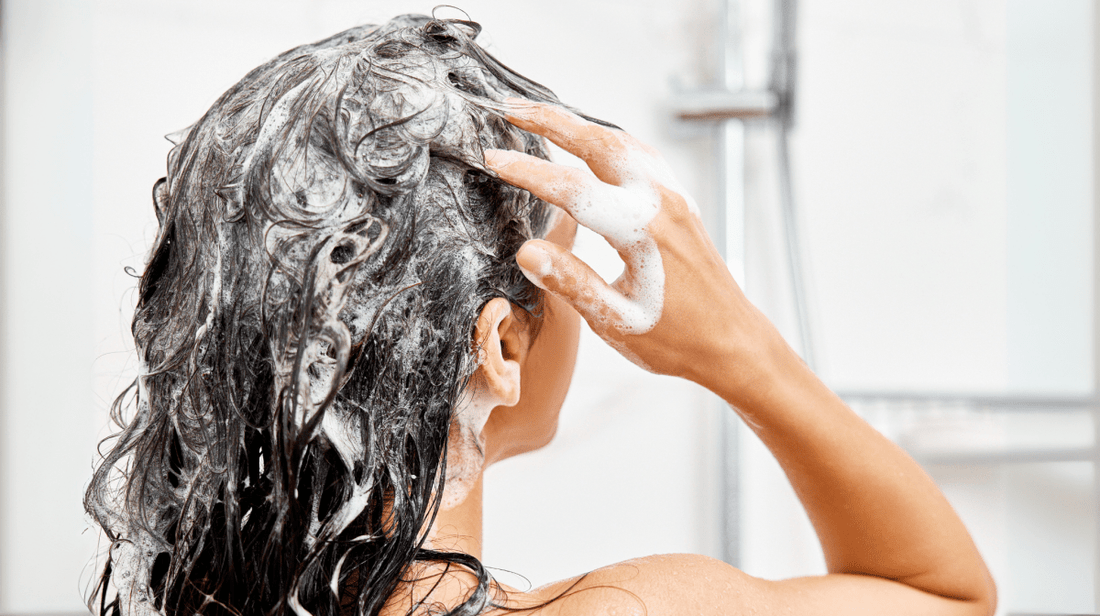 Elasticity for Healthy Hair: Why It Matters and How to Improve It - Breewoo