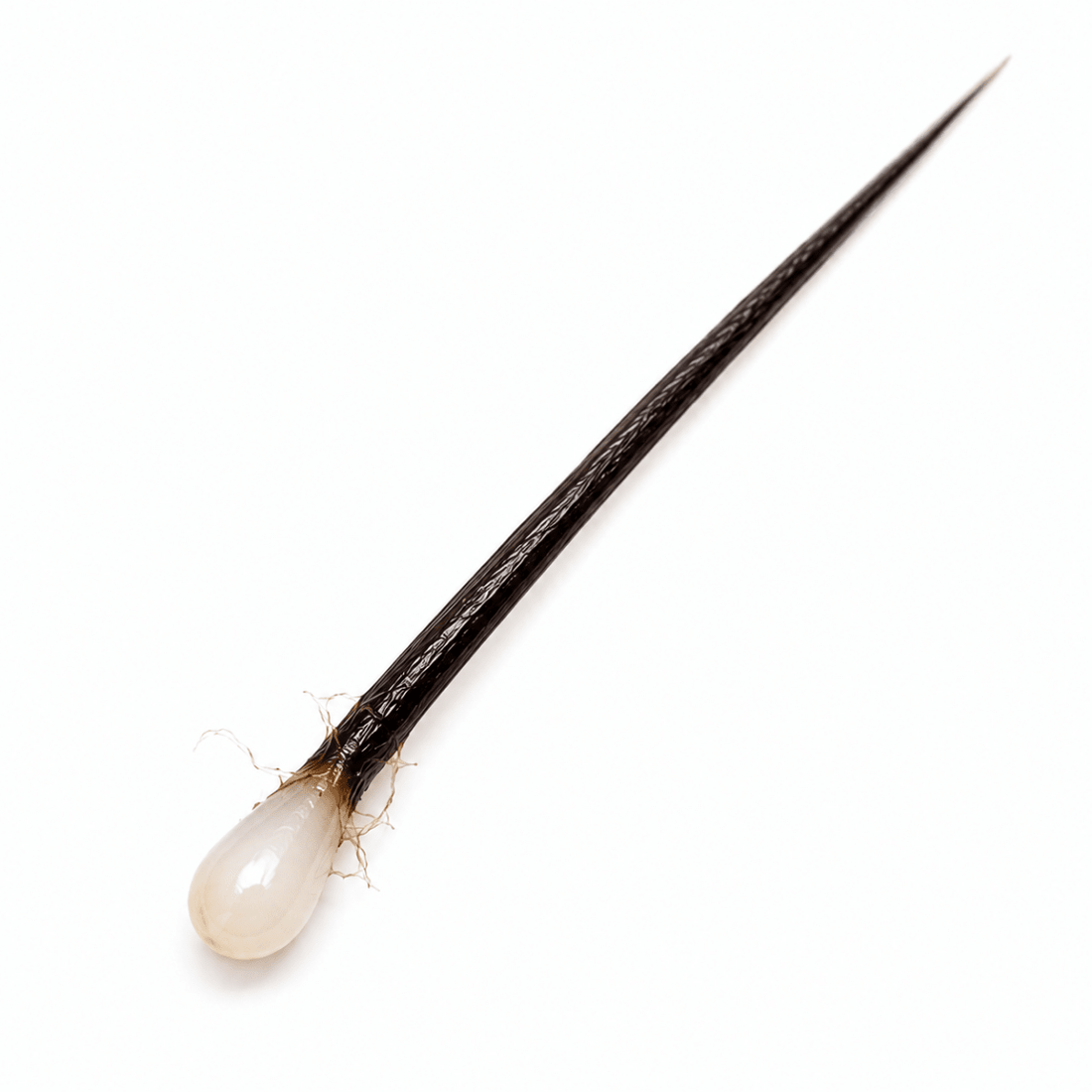 Why I Always Pay Attention to My Shed Hair - Breewoo